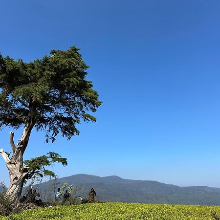 Cabin 7000 Feet Nuwaraeliya Nuwara Eliya Buitenkant foto